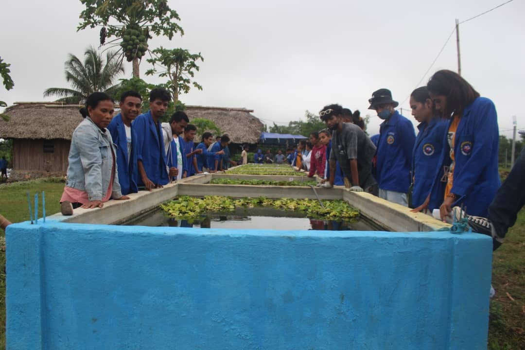 ESTUDANTE FTA UNPAZ HALAO ESTUDU KOMPARATIVU IHA GRUPU AGRIKULTURA KTRM